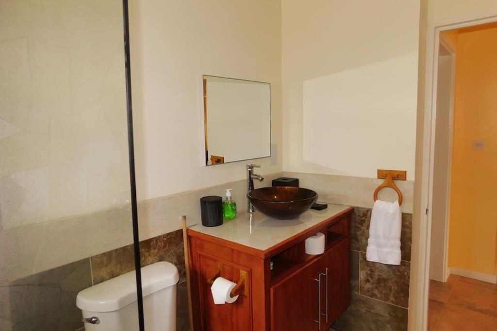 Tropical Home Oasis Суфриер Экстерьер фото