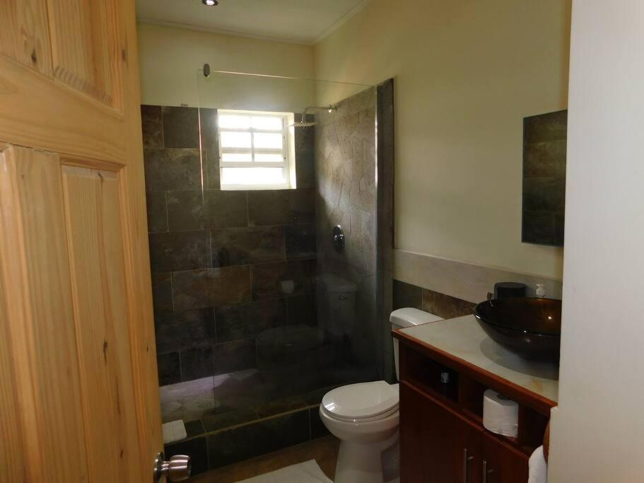 Tropical Home Oasis Суфриер Экстерьер фото